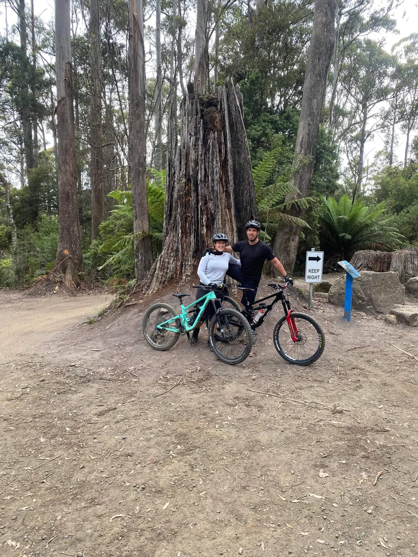 Two riders at the base of a giant tree in Tasmania